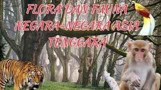 FLORA DAN FAUNA ENDEMIK ASIA TENGGARA  Materi Kelas 6 [upl. by Yazbak]