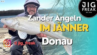 Zander Angeln im Jänner Donau [upl. by Nnylf]