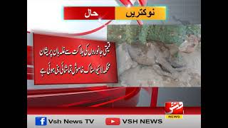 Mysterious camel outbreak in Lasbela leads to widespread deaths  Breaking  Vsh News [upl. by Melleta]