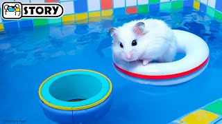 The Awesome Hamster Pool Maze 🐹 Homura Ham Pets [upl. by Nylcsoj]