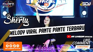 DJ SERLY VIRAL BREAKBEAT 2022  PANTE PANTE TERBARU MR LOMBENK OFFICIAL [upl. by Aerdnaxela]