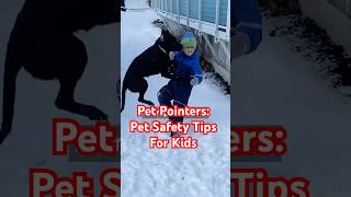 👩‍🏫Teaching Kids How To Play with Pets👦  Pet Pointers [upl. by Delorenzo]