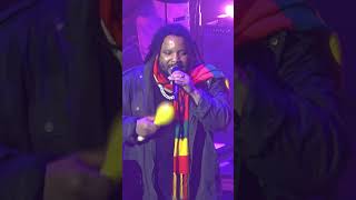 🇯🇲 Could You Be Loved Bob Marley — Damian amp Stephen Marley — live in SF — 2024 [upl. by Einon]