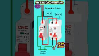 Connection of MCB amp RCCB shorts youtubeshorts ‪ElectricalTechnician‬ shortsvideo short [upl. by Manny]