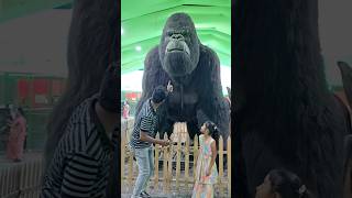 King Kong  Kha Jayega😲 shorts gorilla zoo [upl. by Kone738]