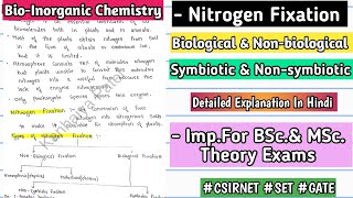 Nitrogen Fixation  Basic Concept  Types  Handwritten Notes  bscnotes bsc mscnotes [upl. by Boylan]