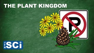 The Plant Kingdom [upl. by Rudy]