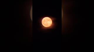 Bajo La Luna De Fresa 🍓💞💞💖 [upl. by Bill]