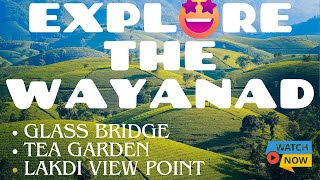 Wayanad Travel Guide MustSee Spots in Kerala’s Scenic Haven [upl. by Mariellen]