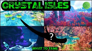 The Best Dinos To Tame On Crystal Isles  Ark Survival Evolved  Quick Guides  2021 [upl. by Richelle539]