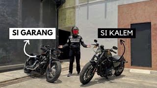 SPORTSTER 48 vs SPORTSTER IRON 883 Mana yang Cocok untukmu [upl. by Annoyk]