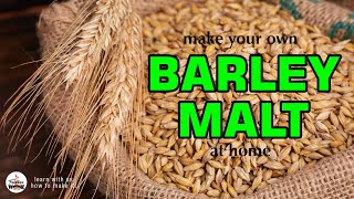 How to make Barley Malt at home [upl. by Patsy334]