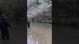 Salmon fishing part 1 canada canadalife [upl. by Hodess617]