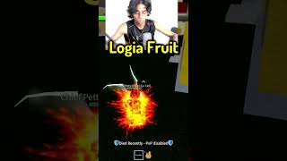 LOGIA FRUIT HITS DIFFERENT roblox shorts bloxfruits [upl. by Sweet]