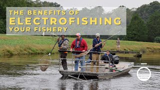 Electrofishing The Key to a Balanced and Thriving Fishery [upl. by Sul188]