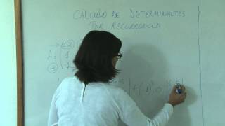 7 CALCULO DE DETERMINANTES POR RECURRENCIA [upl. by Aihsemaj]