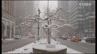 New York débute le printemps sous la neige [upl. by Ringsmuth]