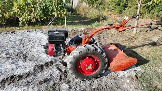 Motocultor MTZ 06 frezare teren pemtru plantat usturoi [upl. by Naihs]