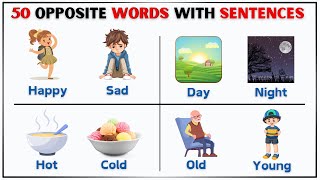 50 Opposite Words for kids  Learn With Sentences  Antonyms in English  Vocabulary  Phonics [upl. by Hadias]