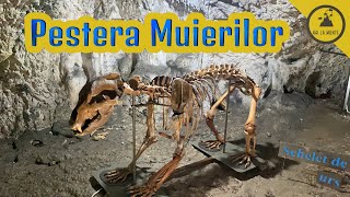 Pestera Muierilor [upl. by Campball]