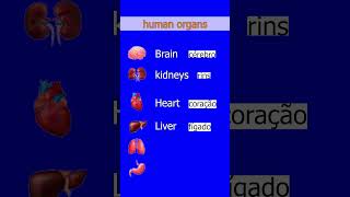 Partes do Corpo Humano em Inglêsenglish inglés ingles [upl. by Pennington]