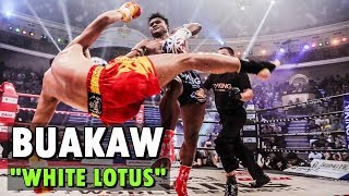 Buakaw  White Lotus Highlights amp Knockouts  MuaythaiKickboxing [upl. by Eceertal]