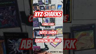 XYZ SHARKS PostROTA Combo Guide Abyss SharkSurfacing Big Jaws yugioh masterduel yugiohtcg [upl. by Dinse]