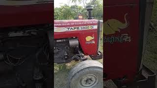 Tafe 5900 Di Tractor shortvideo [upl. by Ahsatin783]