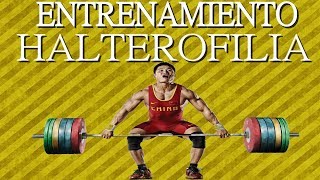 ENTRENAMIENTO HALTEROFILIA COMPLETO  AESTHETIC CLIPS [upl. by Kathrine508]