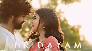 HRIDAYAM  Darshana BGM ❤️  hridayam lovebgm bgmringtone viral trending love loveringtone [upl. by Doykos393]