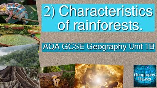 2 Characteristics of tropical rainforests  AQA GCSE Geography Unit 1B [upl. by Kalie]