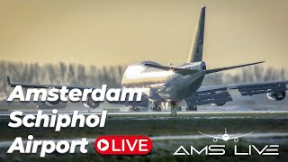 Live Arrivals at Amsterdam Schiphol Airport [upl. by Liagibba104]