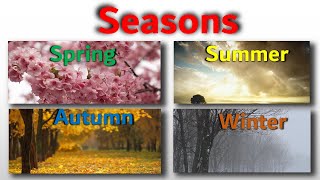 Seasons  Seasons of Change A Journey through Natures Phases [upl. by Paulson]