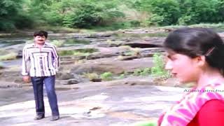 Neerada hamsam neendum  KARTHAVYAM malayalam movie song [upl. by Quenna]