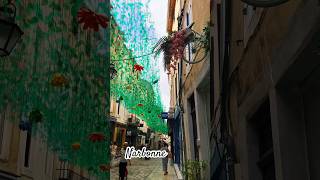 Lovely city of Narbonne shorts foryou travel europe france shortsviral shortsyoutube [upl. by Attela]