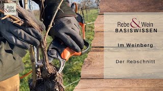 Rebe amp Wein Basiswissen  Im Weinberg Rebschnitt [upl. by Brandt545]