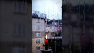 Rainy window serenity  Relaxing ambience  relaxrain scenery cozyatmosphere relaxing [upl. by Ynnaf]