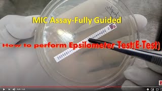 How to test MIC of antibiotics for bacteria [upl. by Sari]