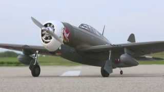 P47D1 Thunderbolt 60 ARF by Hangar 9 [upl. by Einner623]