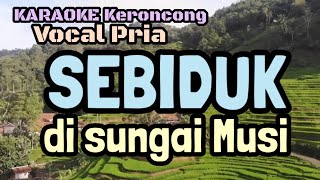 Keroncong Karaoke SEBIDUK DI SUNGAI MUSI Vocal Pria [upl. by Abbottson632]