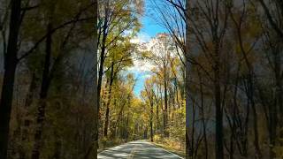 The beautiful autumn drive out of Bradley Woods autumn fall leaves foliage autumncolors drive [upl. by Anivad]