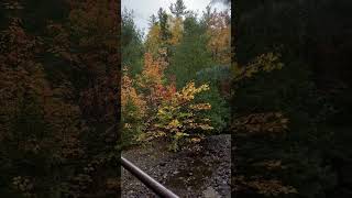 Fall Hiking in Ontario Canada [upl. by Salli783]