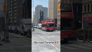 Bus tour 🇨🇦brasileirosnocanada brasileirosemtoronto destinos passeioemfamilia bus canada [upl. by Charlotta]