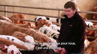 LE VEAU DE NOS ÉLEVEURS  Tout lart dune viande tendre et savoureuse [upl. by Nallid]