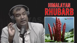 Chef Santosh on Discovering Himalayan Rhubarb on a Nepal Trek [upl. by Euqinomahs]