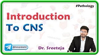 1 Introduction To CNS Pathology  USMLE Step 1🧠💡 [upl. by Jerz]