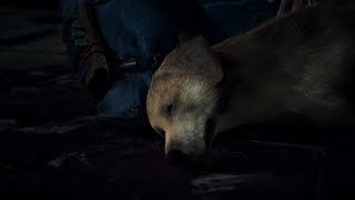 Days Gone  Dog Death Scene Sad Moment [upl. by Anivlis]