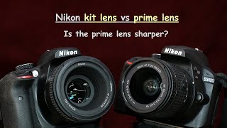 Nikon AFP 1855mm kit lens vs AFS 50mm F18G  lets compare their sharpness [upl. by Mariana322]