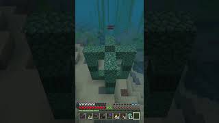 How to build a Conduit minecraft [upl. by Idelia]