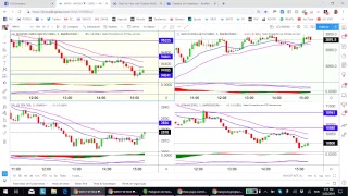 Batepapo com traders [upl. by Aliahkim]